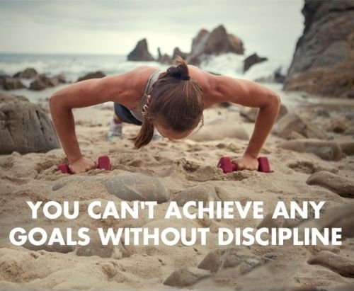 Diet Workout Journal - Great Conversion Rate